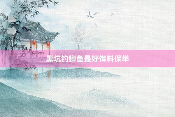 黑坑钓鲫鱼最好饵料保举