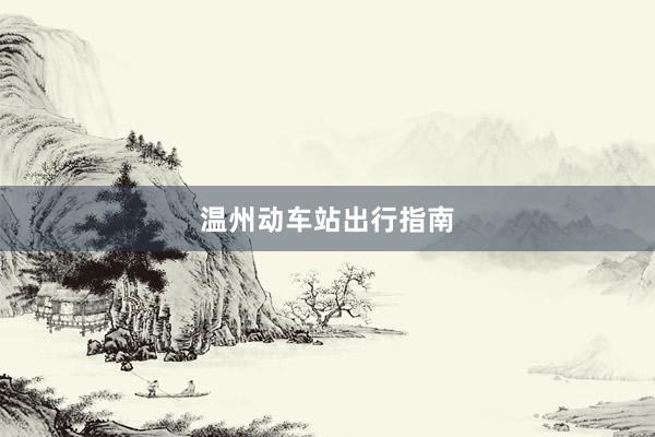 温州动车站出行指南
