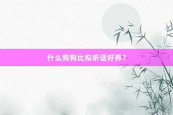什么狗狗比拟听话好养?