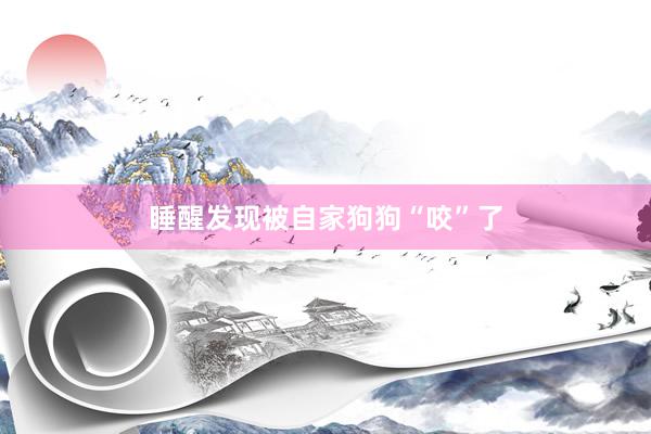 睡醒发现被自家狗狗“咬”了