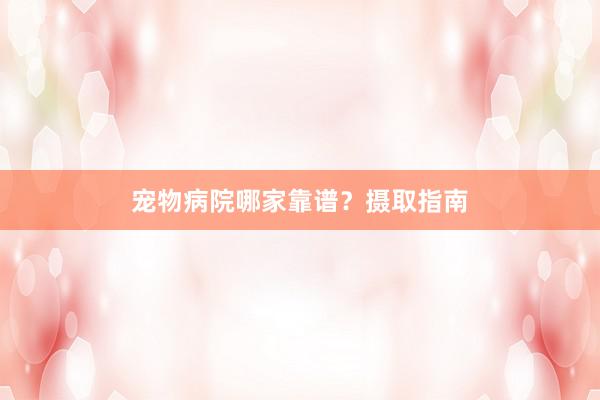 宠物病院哪家靠谱？摄取指南