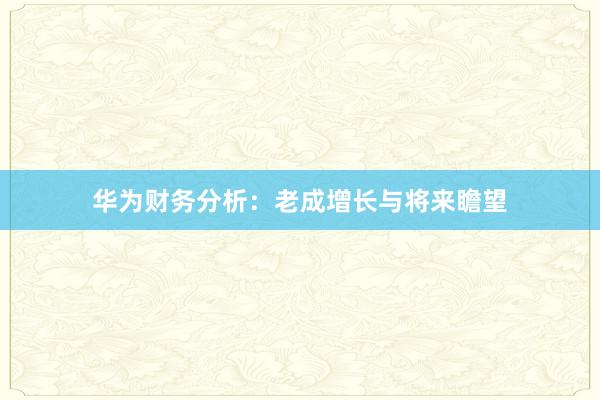 华为财务分析：老成增长与将来瞻望